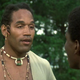 Roots (Warner Bros.)